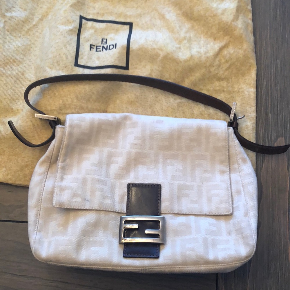 Fendi bag *please read description*